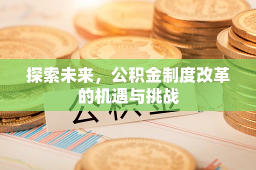 路竹探索未来，公积金制度改革的机遇与挑战