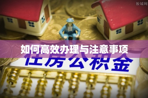 路竹如何高效办理与注意事项