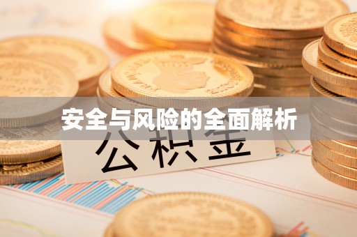 路竹安全与风险的全面解析