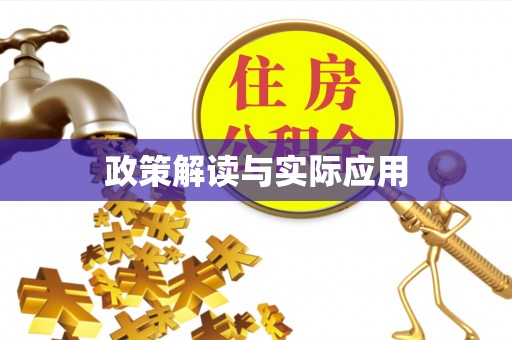 路竹政策解读与实际应用