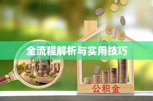 路竹全流程解析与实用技巧
