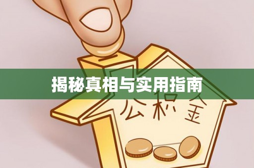 路竹揭秘真相与实用指南