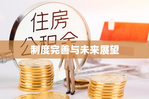 路竹制度完善与未来展望