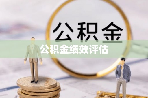 路竹公积金绩效评估