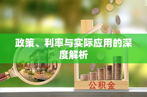 路竹政策、利率与实际应用的深度解析