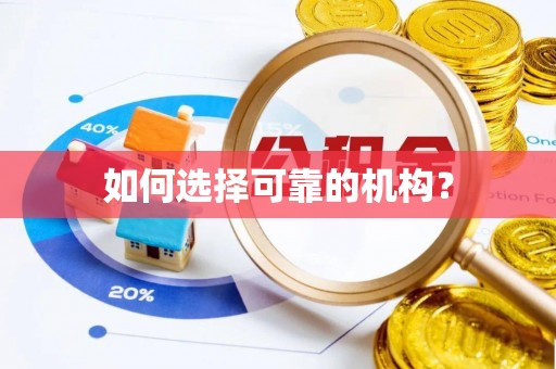 路竹如何选择可靠的机构？
