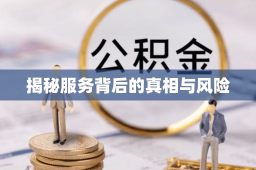 路竹揭秘服务背后的真相与风险