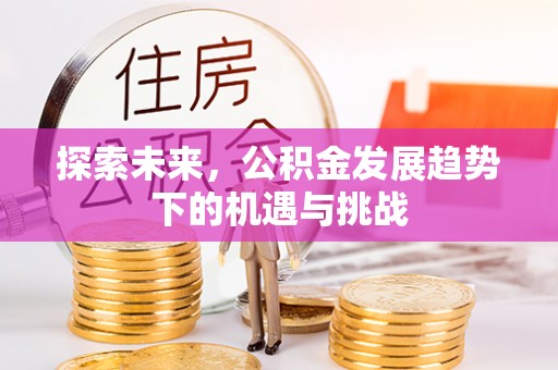 路竹探索未来，公积金发展趋势下的机遇与挑战