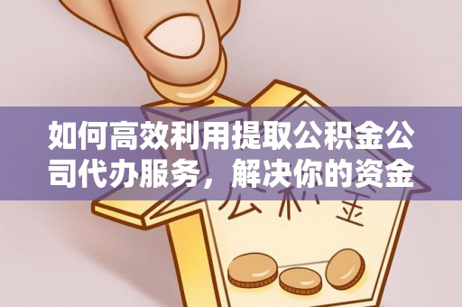 路竹如何高效利用提取公积金公司代办服务，解决你的资金难题