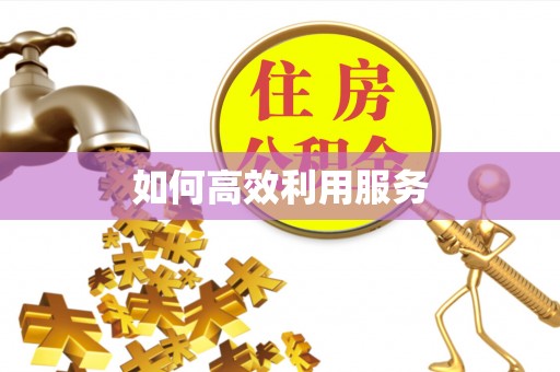路竹如何高效利用服务