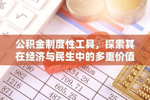 路竹公积金制度性工具，探索其在经济与民生中的多重价值