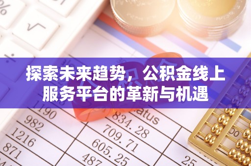 路竹探索未来趋势，公积金线上服务平台的革新与机遇