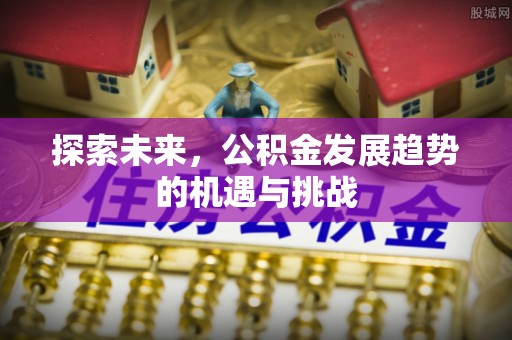 路竹探索未来，公积金发展趋势的机遇与挑战
