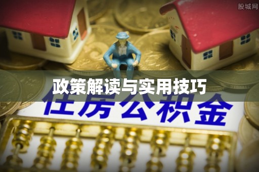 路竹政策解读与实用技巧