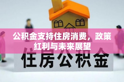 路竹公积金支持住房消费，政策红利与未来展望
