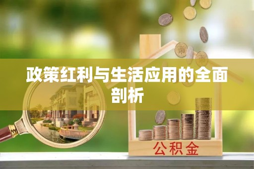 路竹政策红利与生活应用的全面剖析