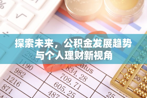 路竹探索未来，公积金发展趋势与个人理财新视角
