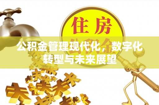 路竹公积金管理现代化，数字化转型与未来展望