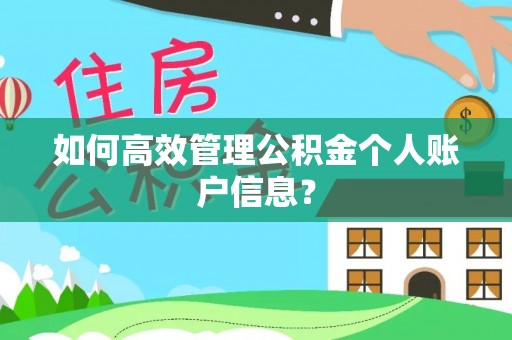 路竹如何高效管理公积金个人账户信息？