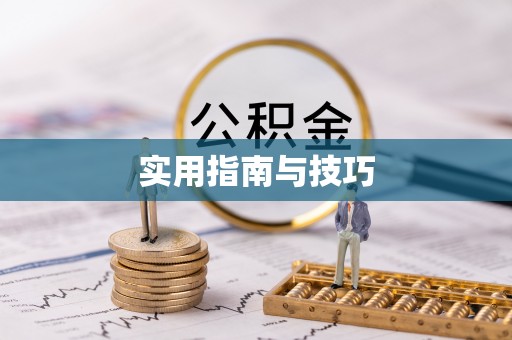 路竹实用指南与技巧