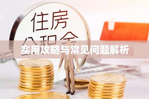 路竹实用攻略与常见问题解析
