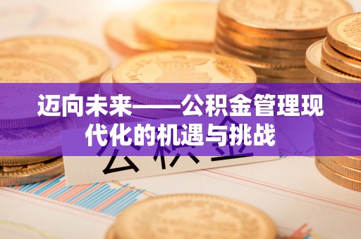 路竹迈向未来——公积金管理现代化的机遇与挑战