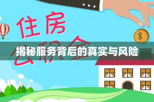 路竹揭秘服务背后的真实与风险