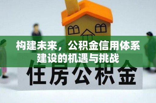 路竹构建未来，公积金信用体系建设的机遇与挑战
