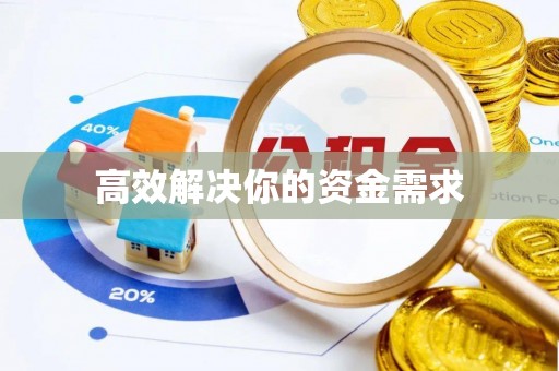 路竹高效解决你的资金需求