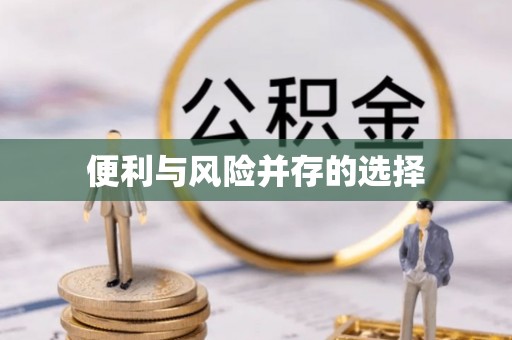 路竹便利与风险并存的选择