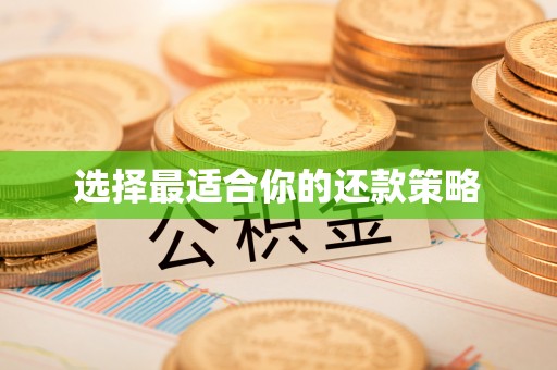 路竹选择最适合你的还款策略
